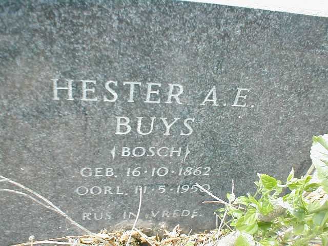 BUYS Hester A.E. nee BOSCH 1862-1950