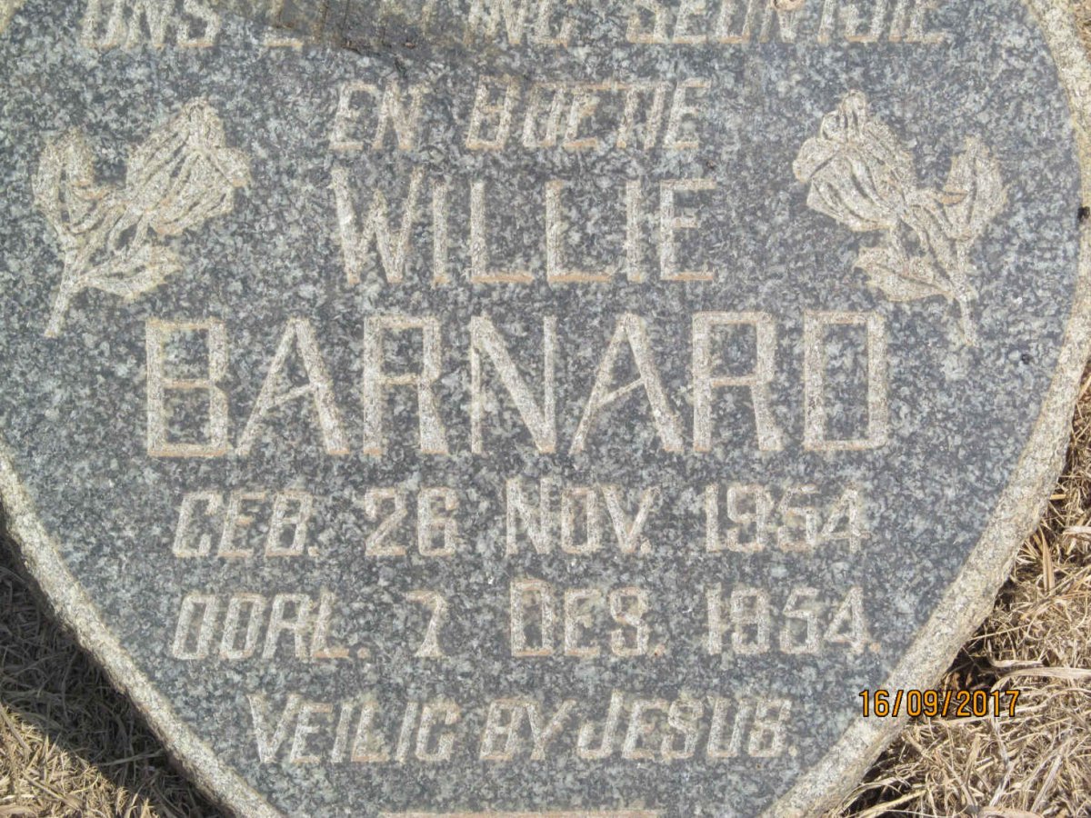 BARNARD Willie 1954-1954
