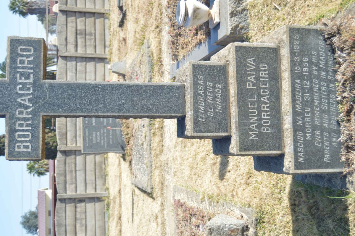 BORRAGEIRO Manuel Paiva 1925-1956