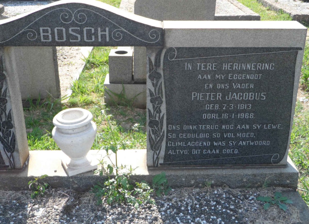 BOSCH Pieter Jacobus 1913-1966