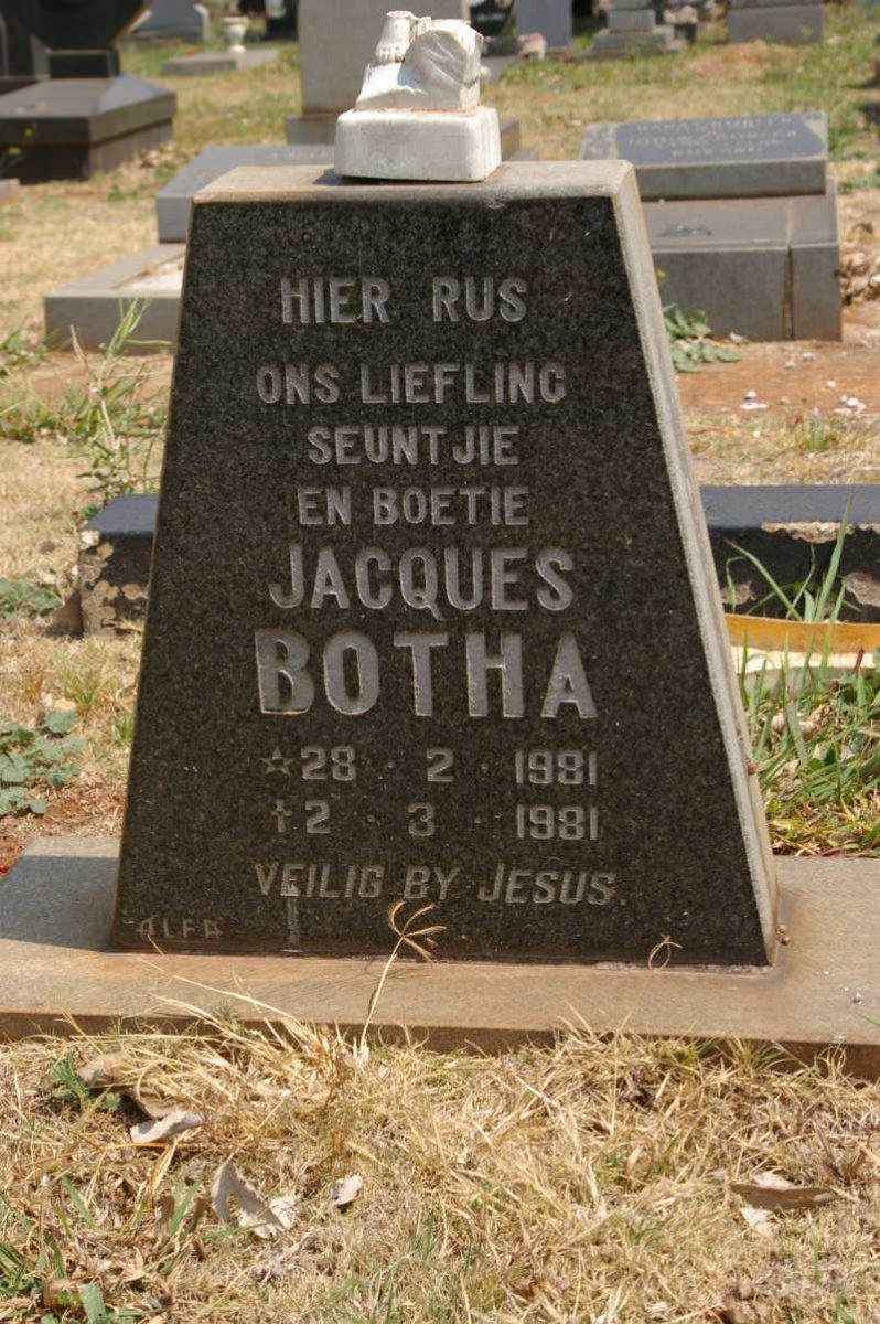 BOTHA Jacques 1981-1981