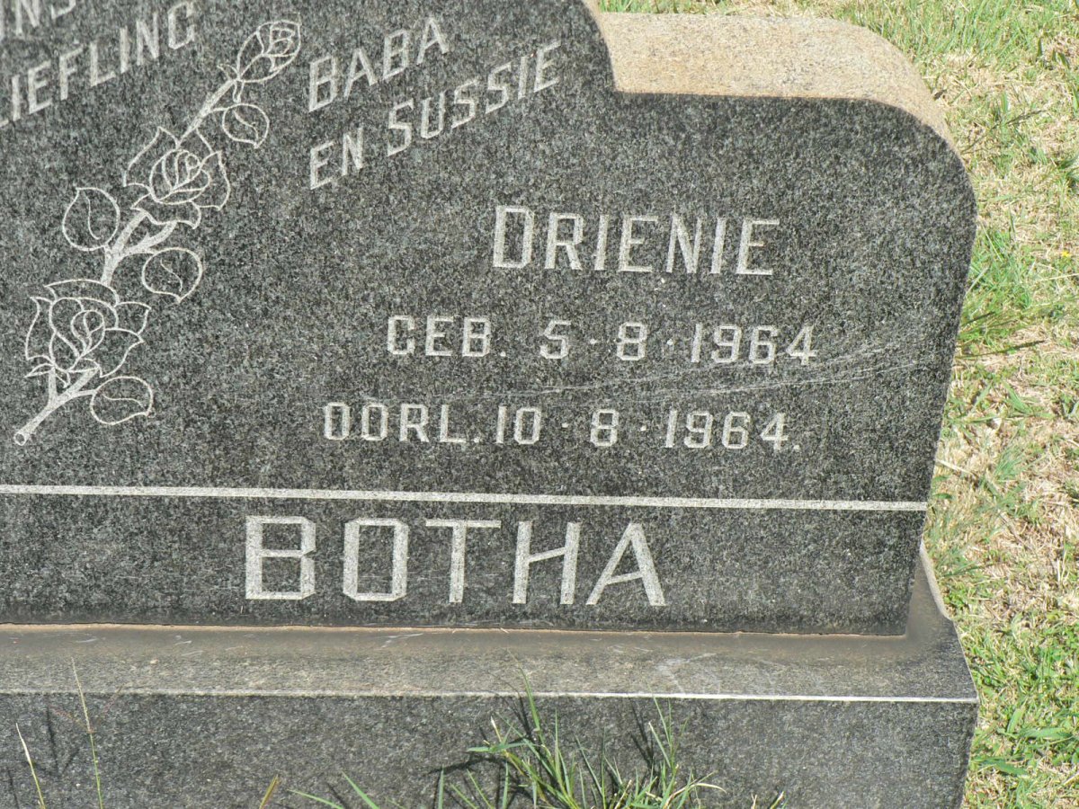 BOTHA Drienie 1964-1964