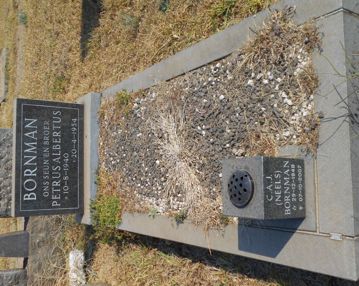BORNMAN Petrus Albertus 1940-1954 :: BORNMAN C.A.J. 1948-2007