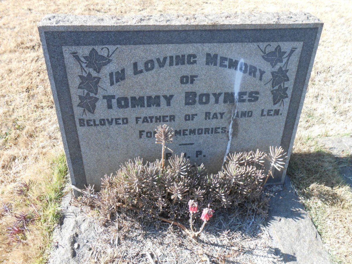 BOYNES Tommy