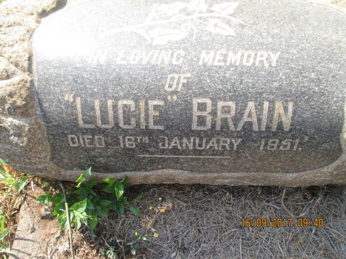 BRAIN Lucie  -1951