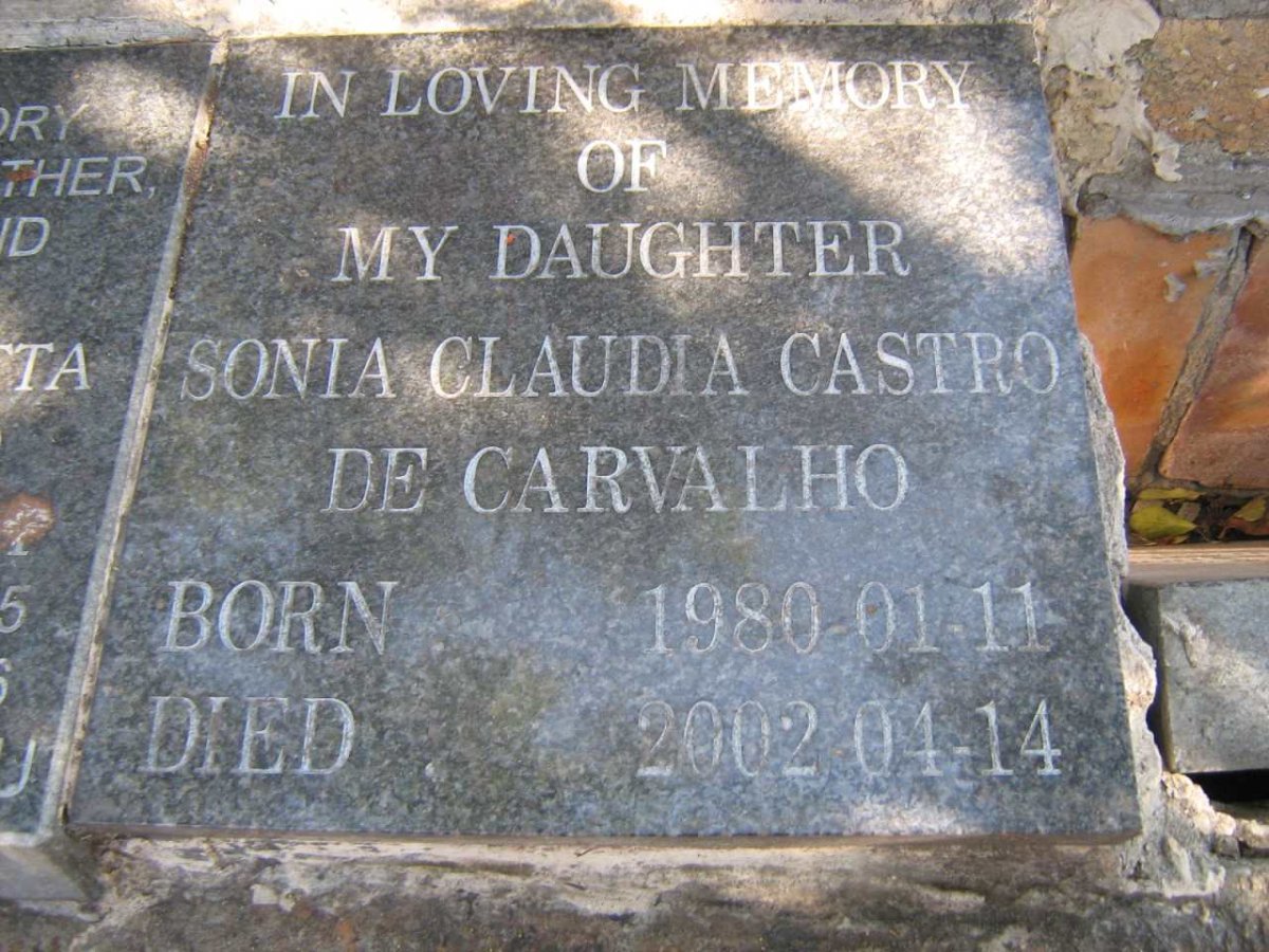 CARVALHO Sonia Claudia Castro, de 1980-2002