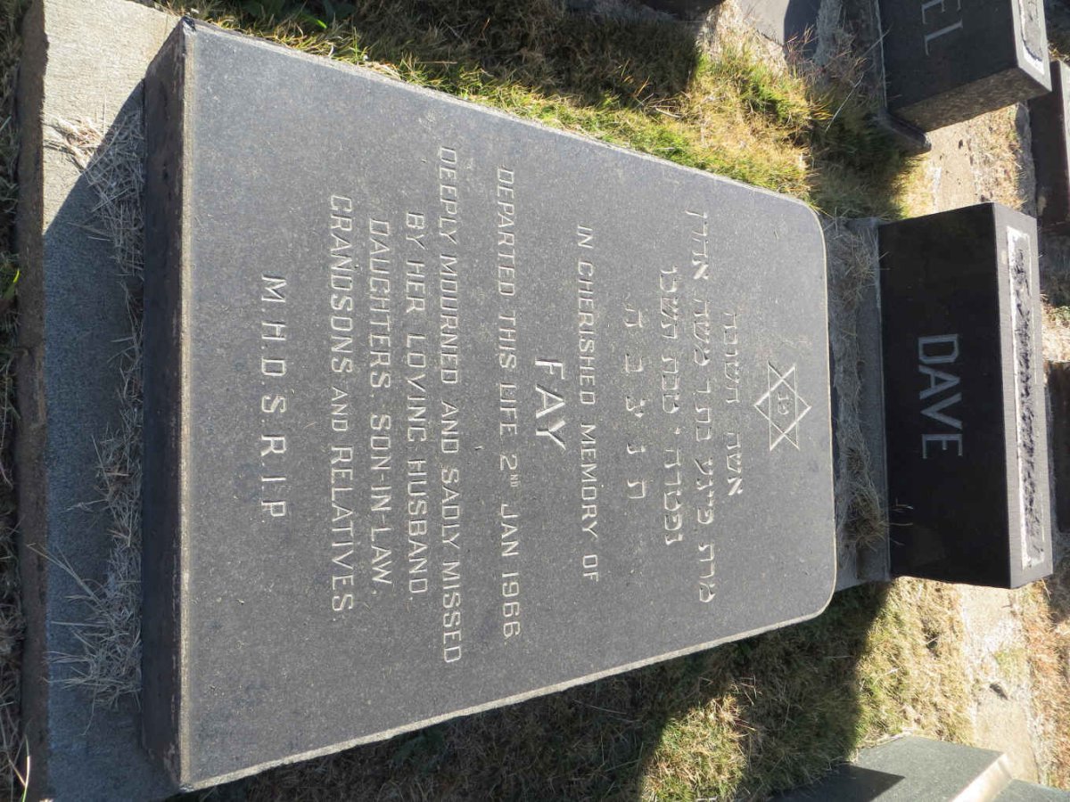 DAVE Fay -1966