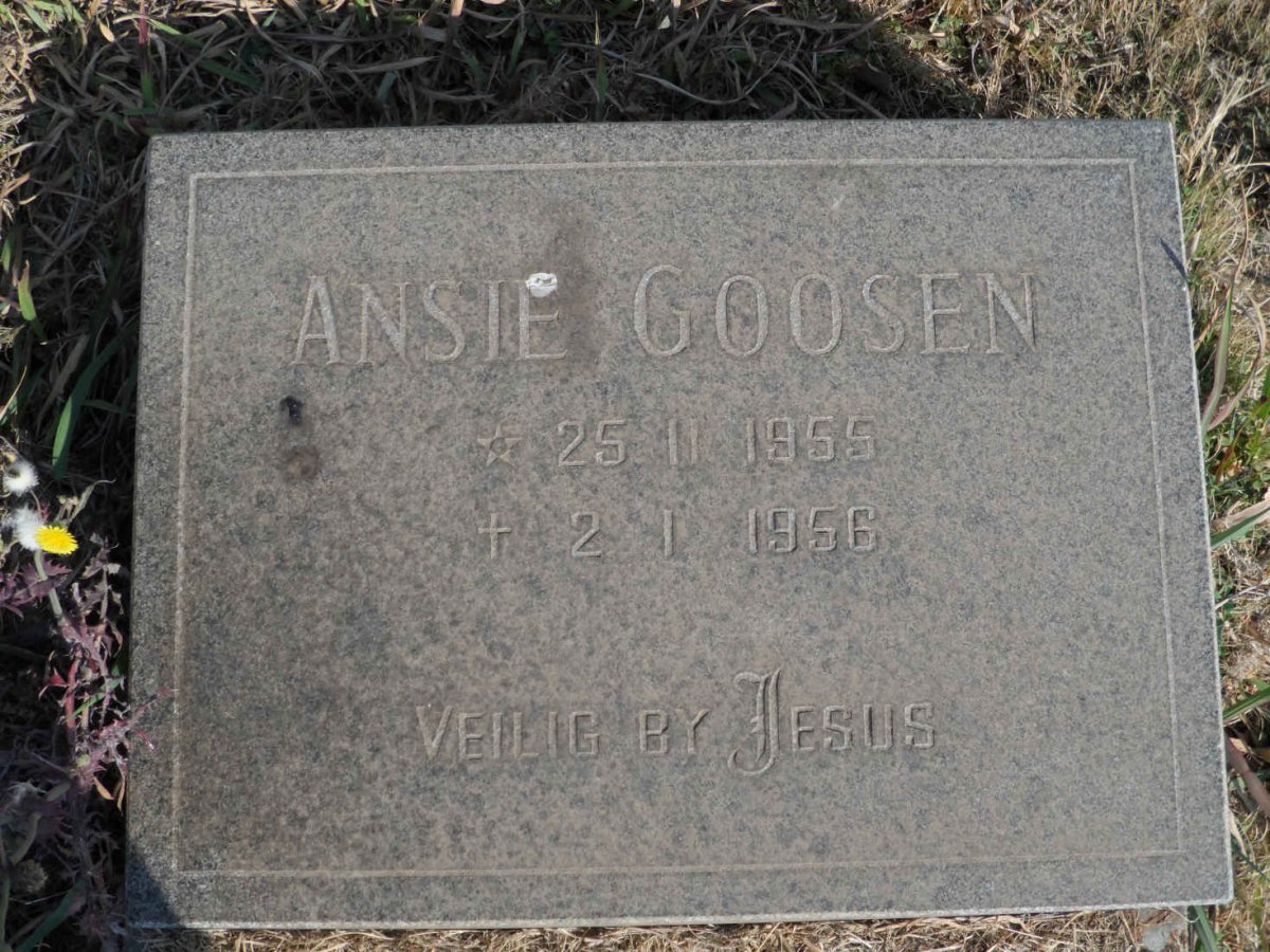GOOSEN Ansie 1955-1956
