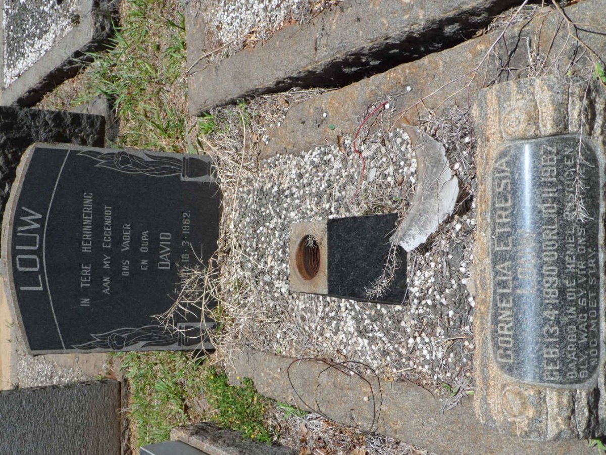 LOUW David -1962 &amp; Cornelia Etresia 1890-1967