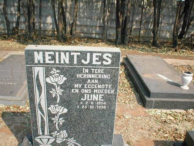 MEINTJES June 1954-1996