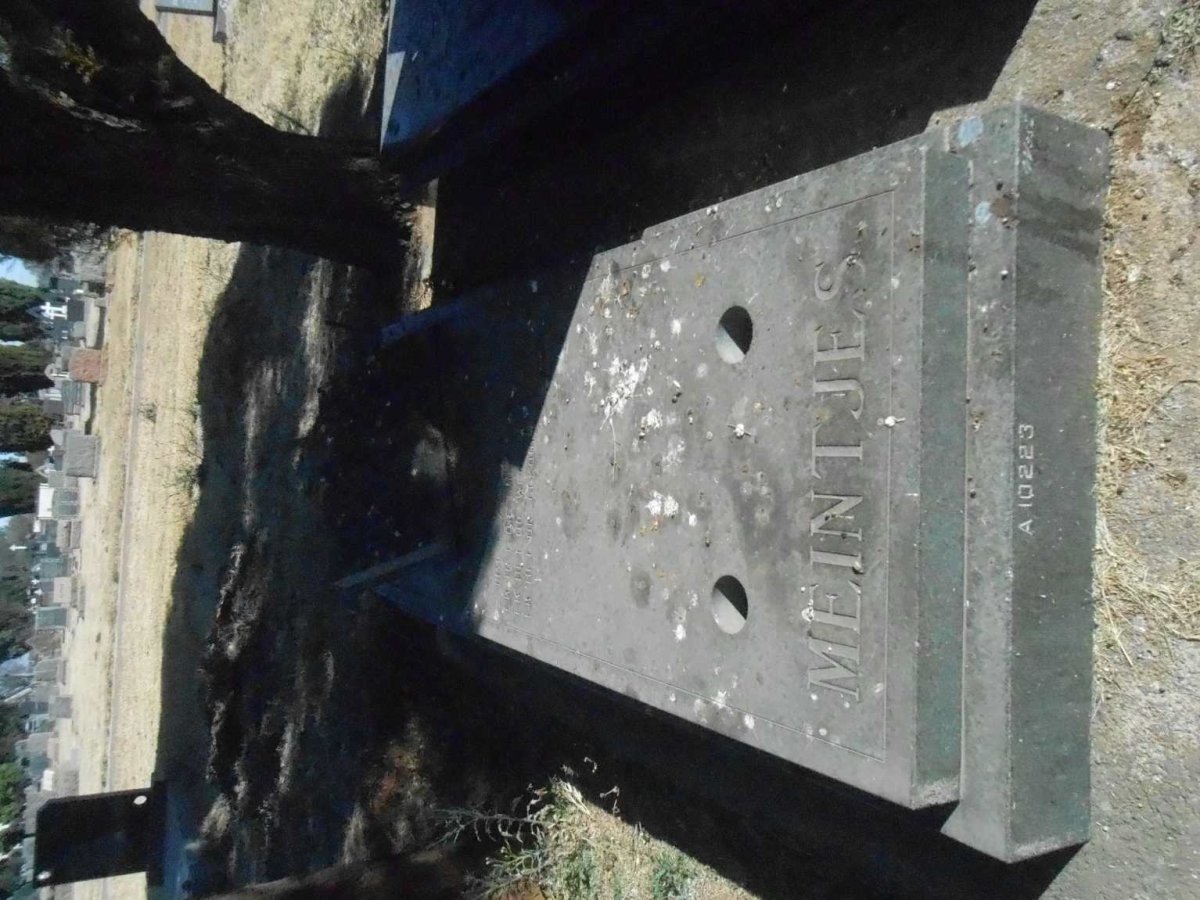 MEINTJES Petrus Johannes 1941-1995