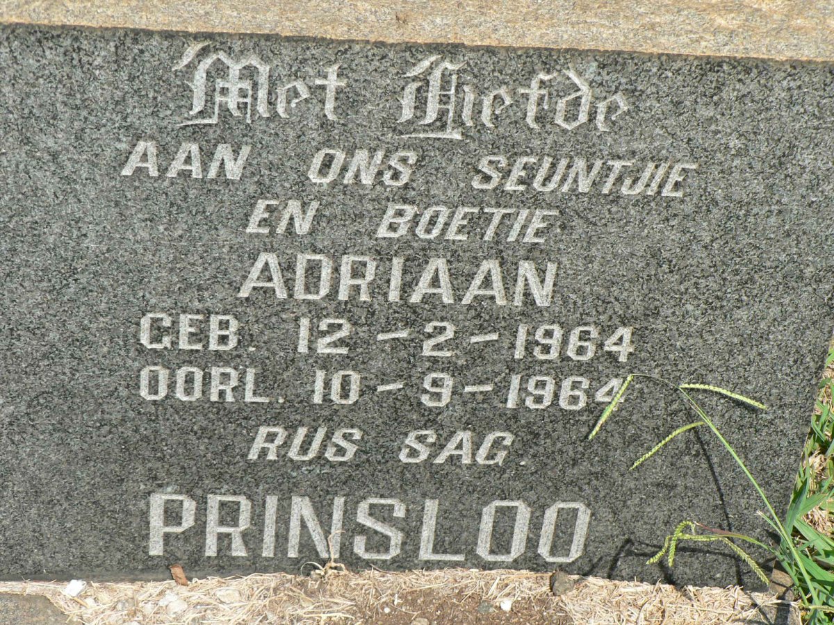 PRINSLOO Adriaan 1964-1964