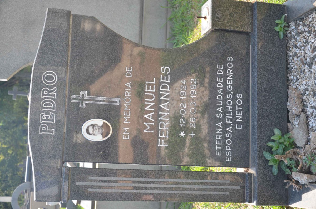 PEDRO Manuel Fernandes 1924-1992