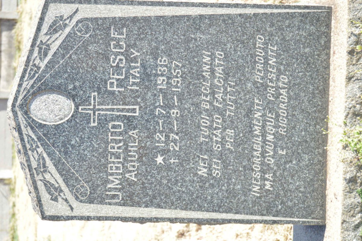 PESCE Umberto 1936-1957