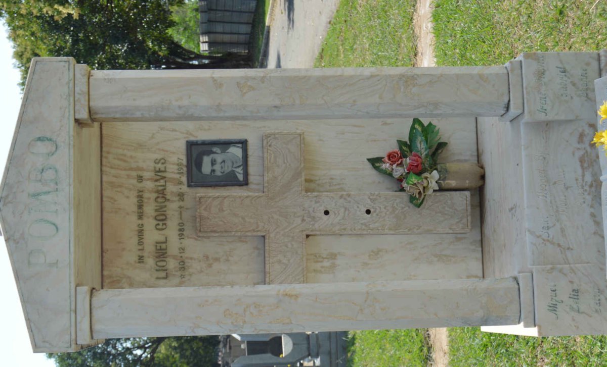 POMBO Lionel Goncalves 1980-1997