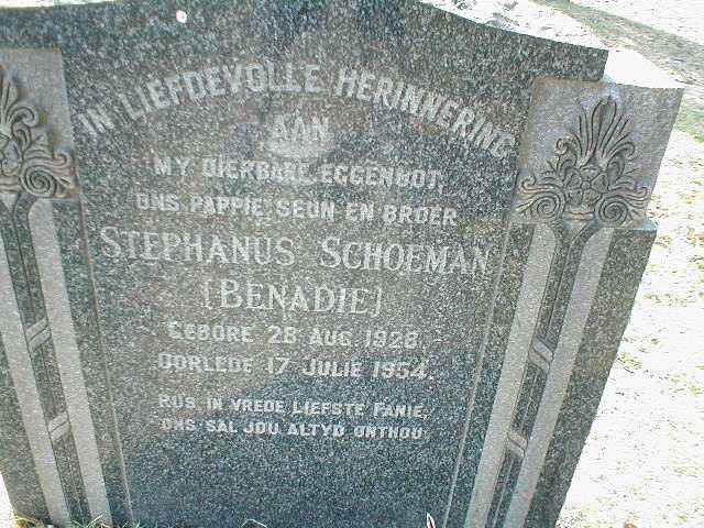 SCHOEMAN Stephanus 1928-1954