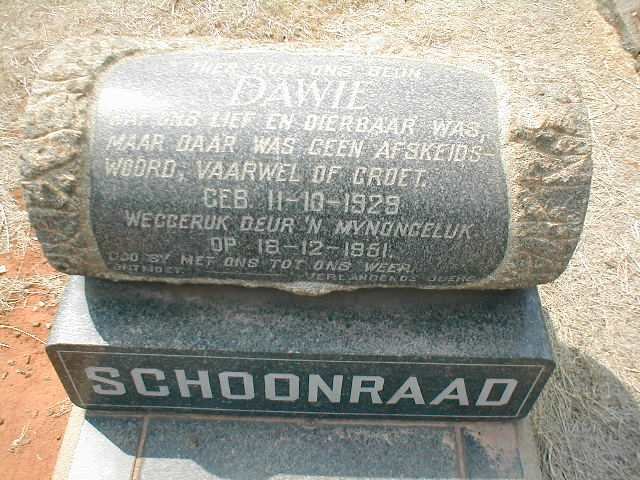 SCHOONRAAD Dawie 1929-1951