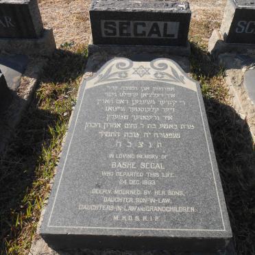 SEGAL Bashe -1953