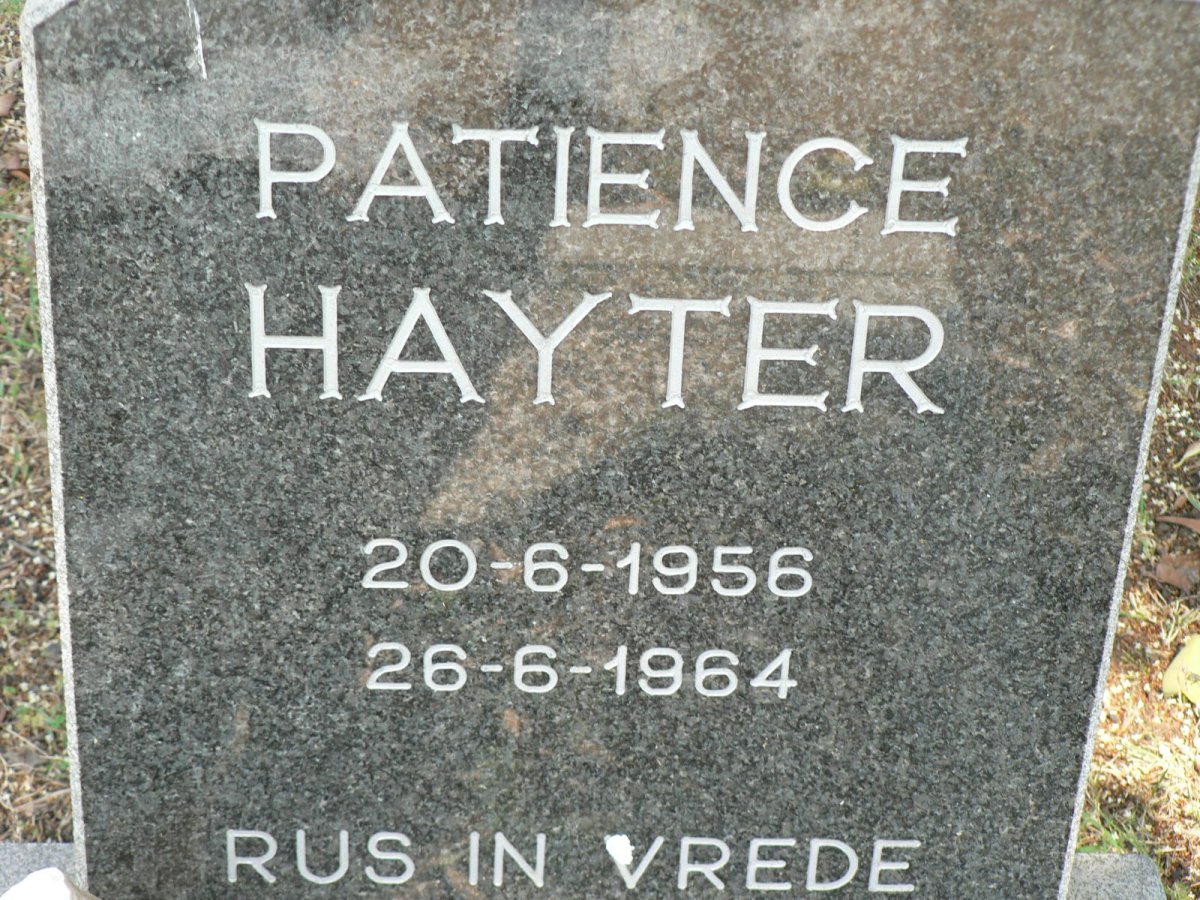 HAYTER Patience 1956-1964