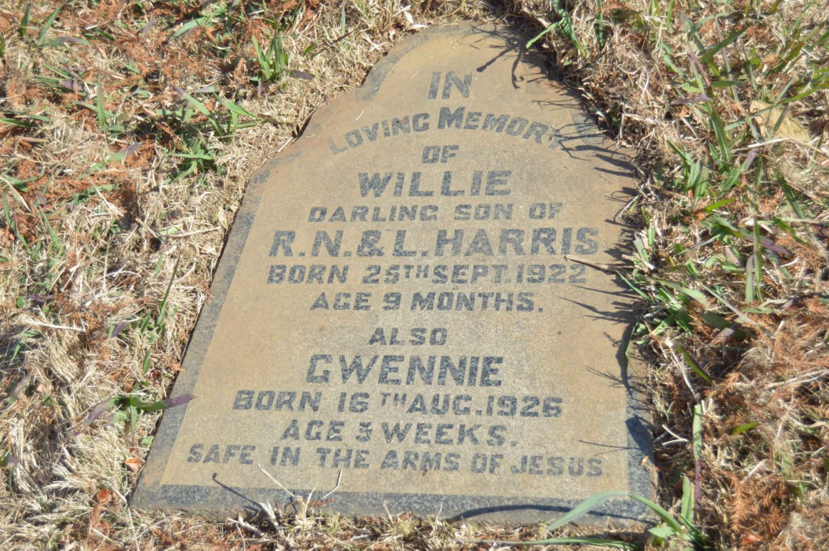 HARRIS Willie 1922-1923 :: HARRIS Gwennie 1926-1926