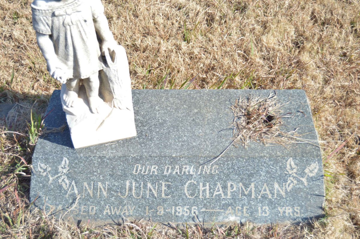 TRUTER Alan Michael 1954-1984 :: CHAPMAN Ann June -1956 :: TRUTER Jennifer Dawn 1953-1960