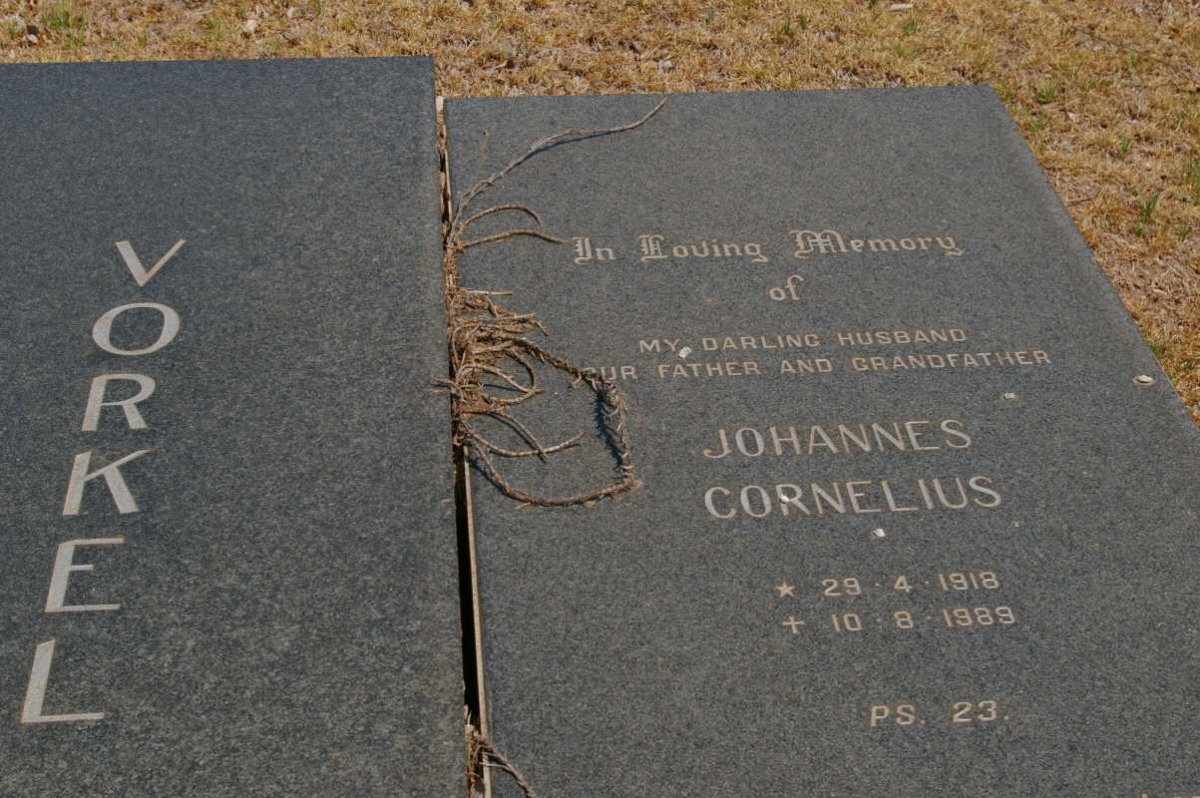 VORKEL Johannes Cornelius 1918-1989 