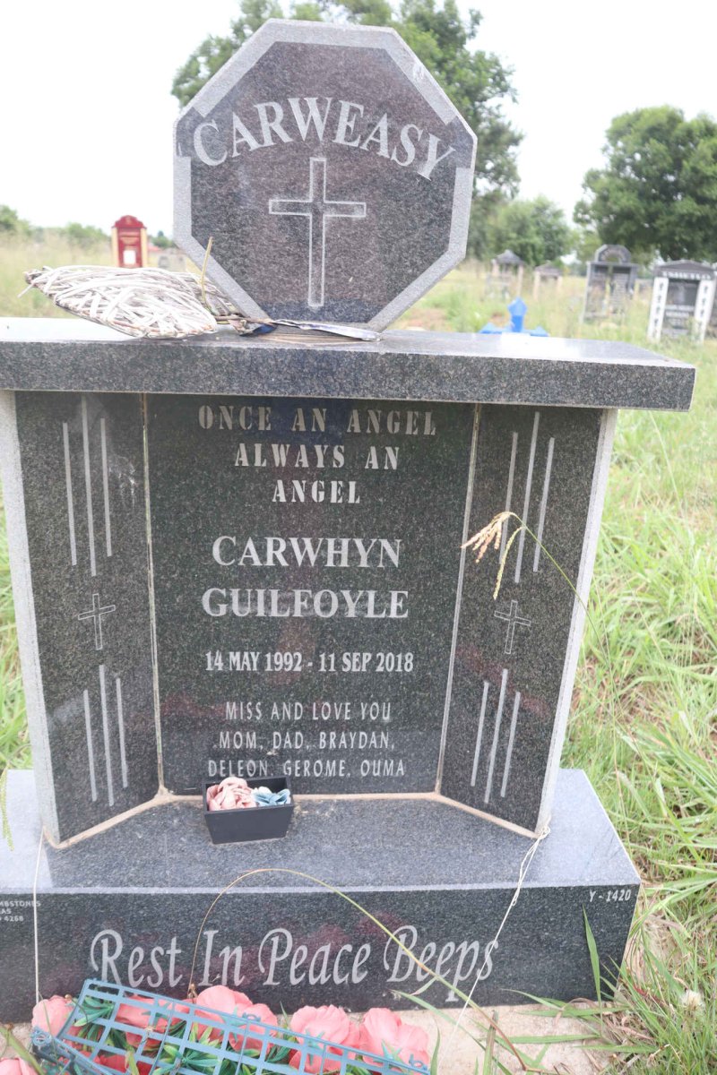 CARWEASY Carwhyn Guilfoyle 1992-2018