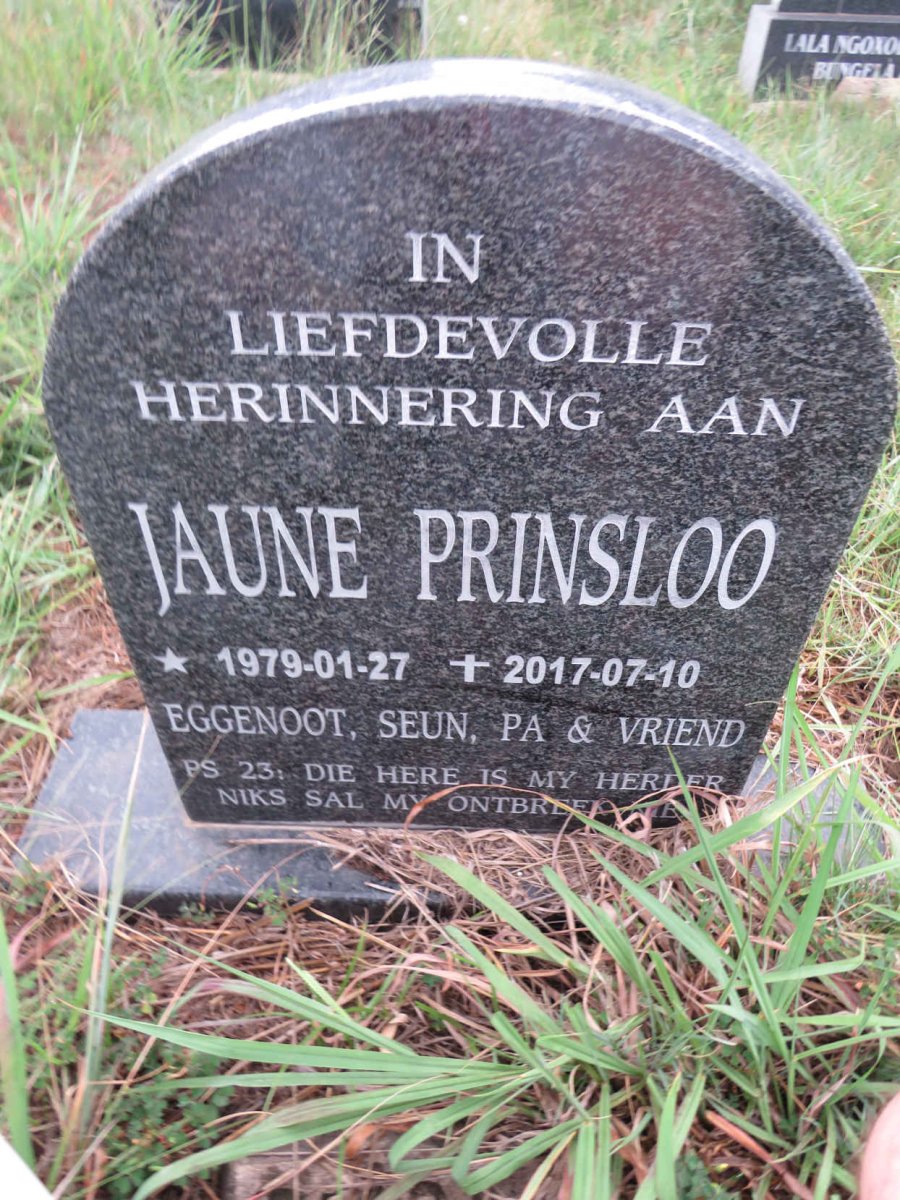 PRINSLOO Jaune 1979-2017