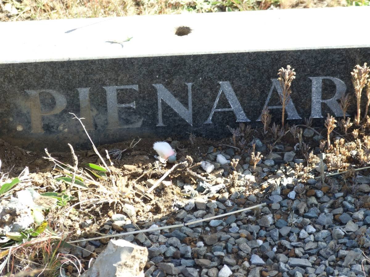 PIENAAR Philippus 1922-1977