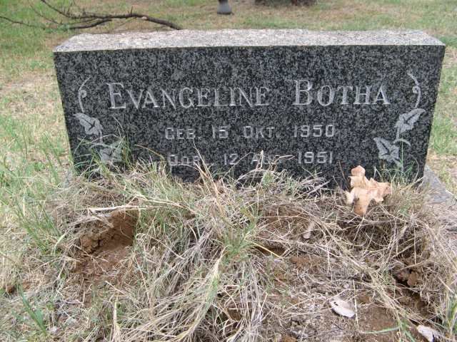 BOTHA Evangeline 1950-1951
