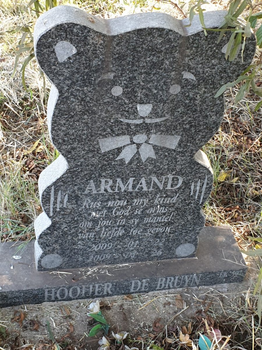 BRUYN Armand, de Hooijer 2009-2009