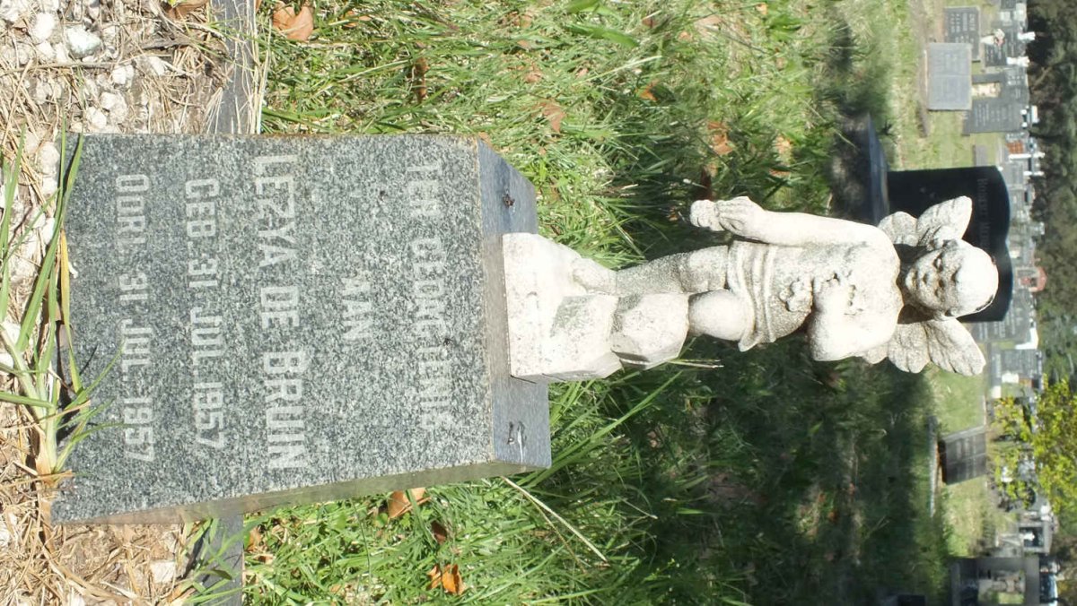 BRUIN Lezya, de 1957-1957