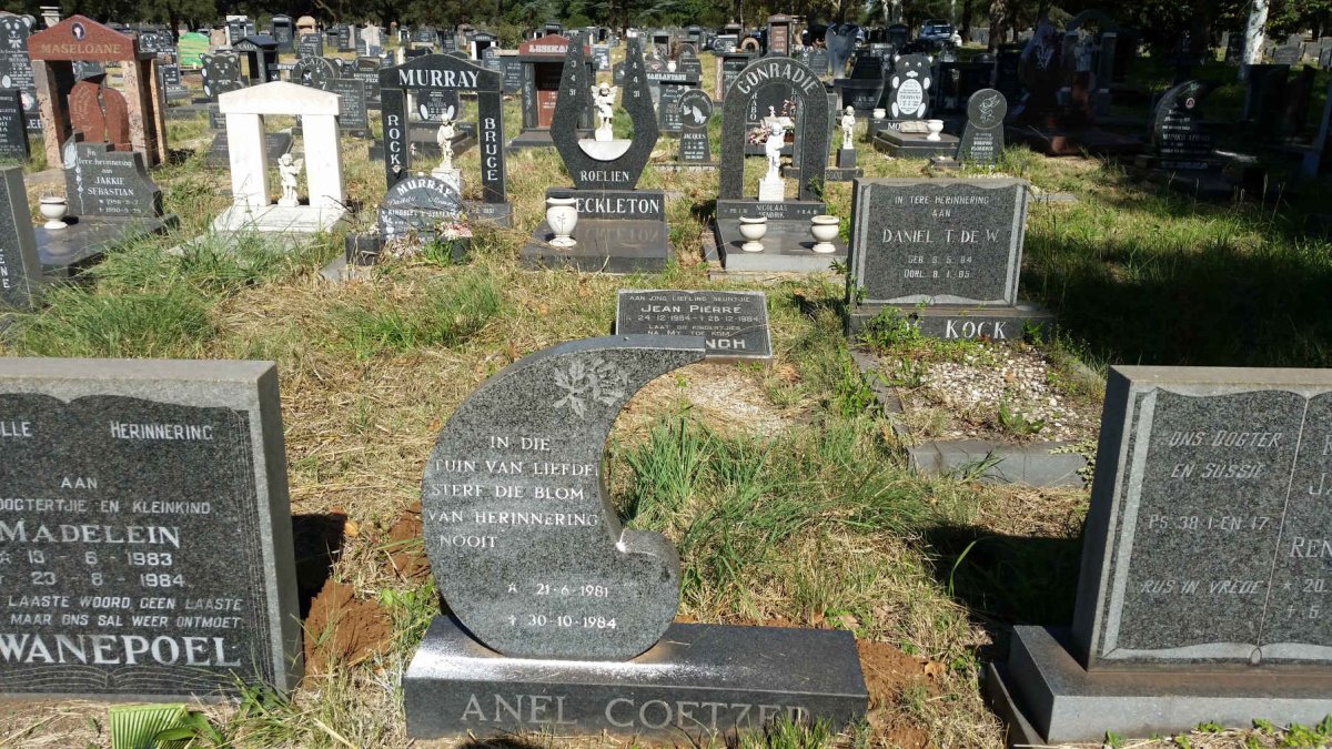 COETZER Anel 1981-1984