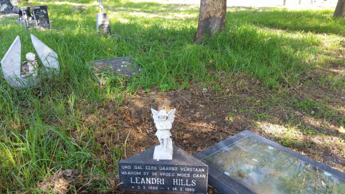 HILLS Leandri 1986-1986