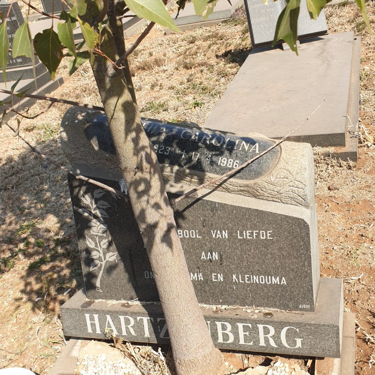 HARTZENBERG ? Carolina 1923-1986