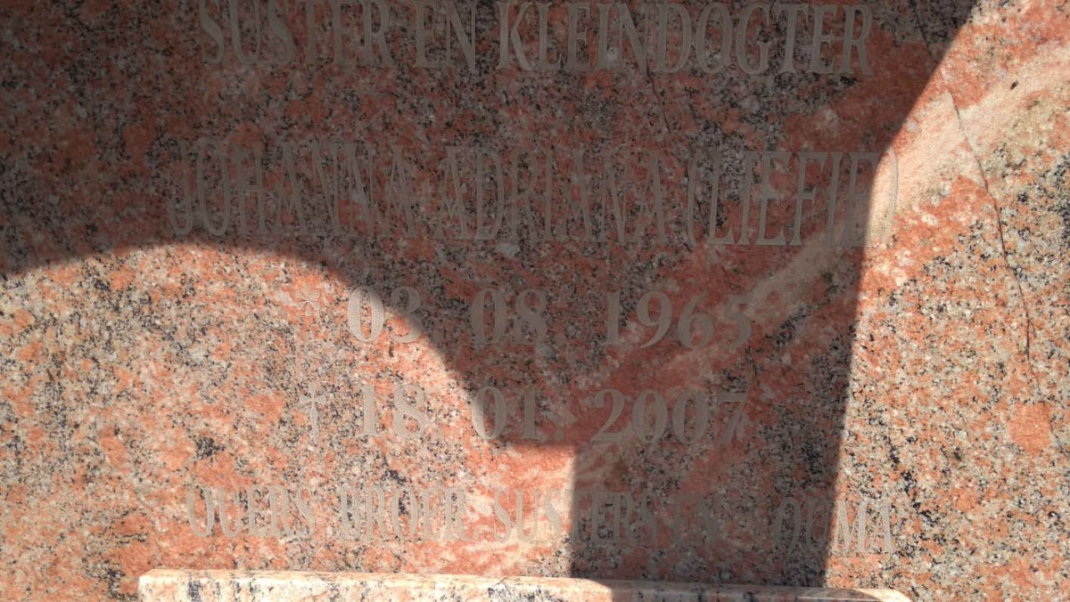 JONG Johanna Adriana, de 1965-2007