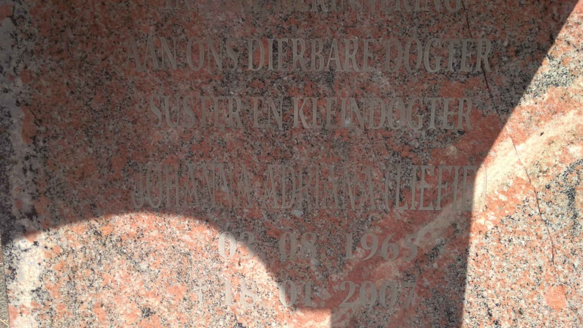 JONG Johanna Adriana, de 1965-2007