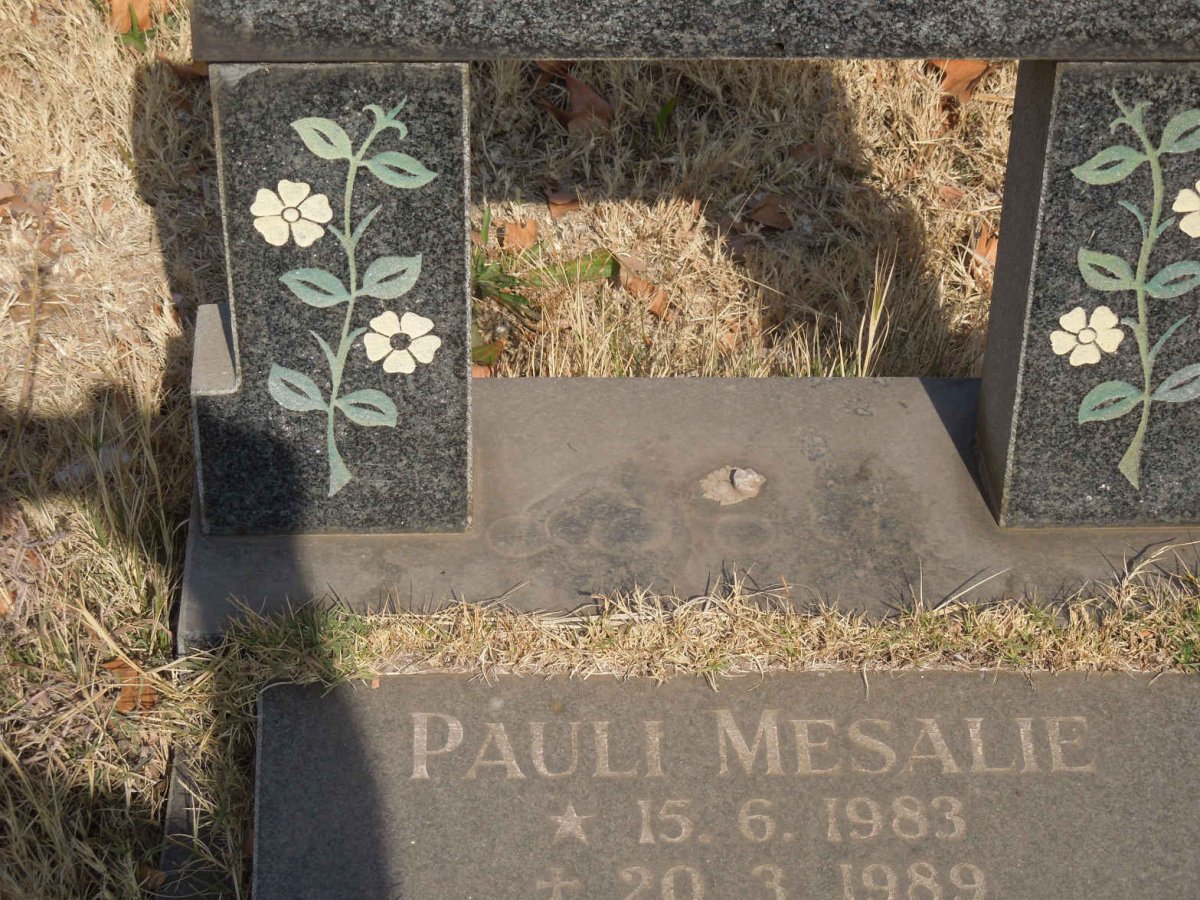 MESALIE Pauli 1983-1989