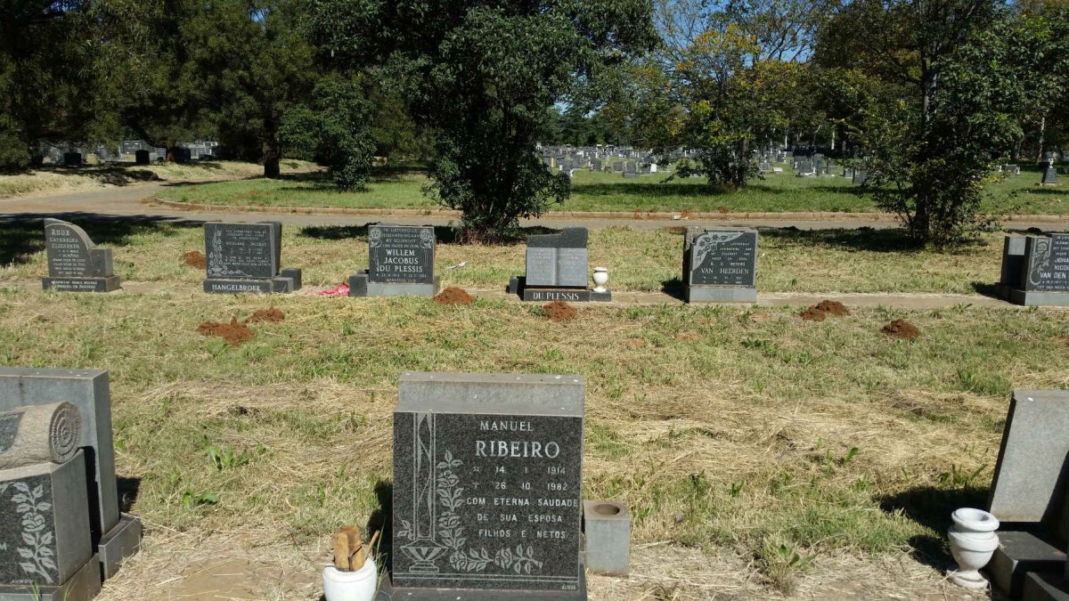 RIBEIRO Manuel 1914-1982