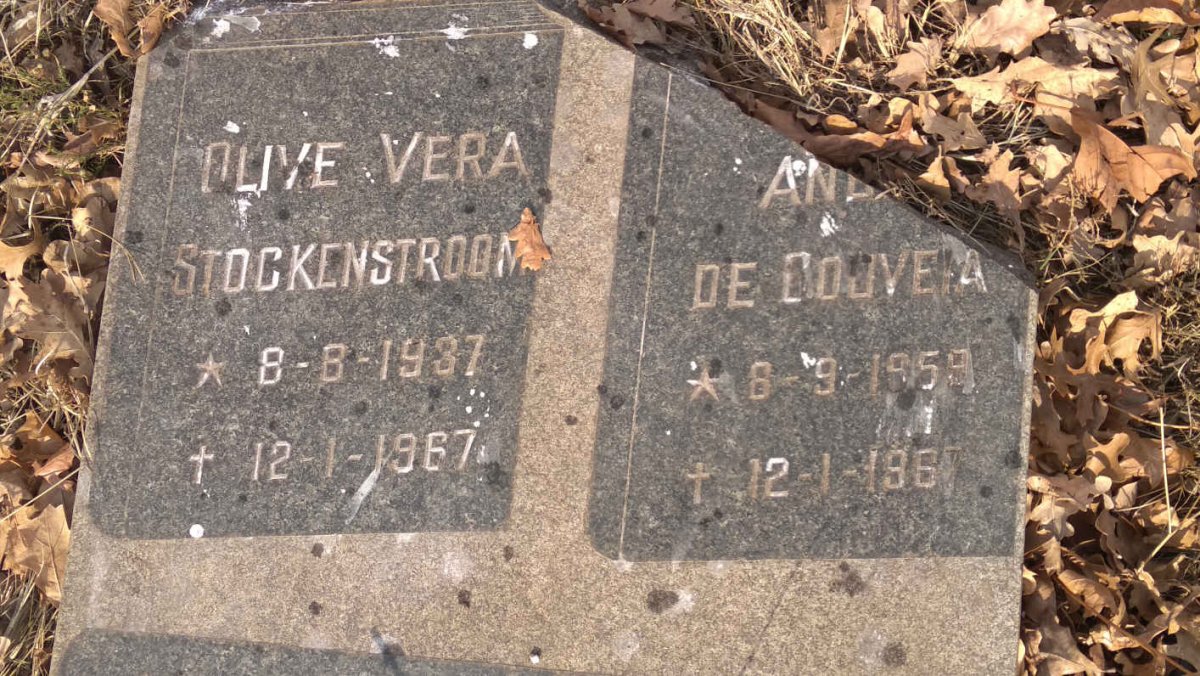 STOCKENSTROOM Olive Vera 1937-1967 :: DE GOUVEIA  An? 1959-1967