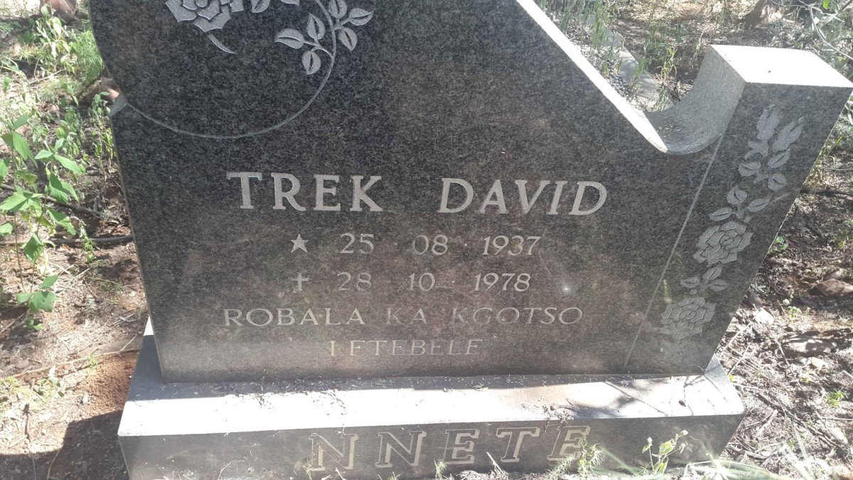 NNETE Trek David 1937-1978