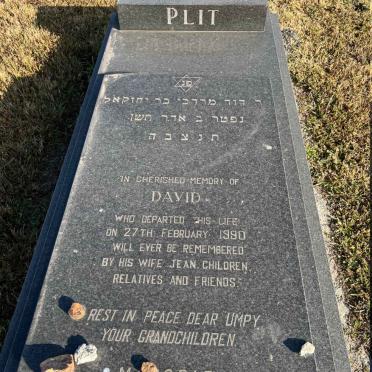 PLIT David -1990
