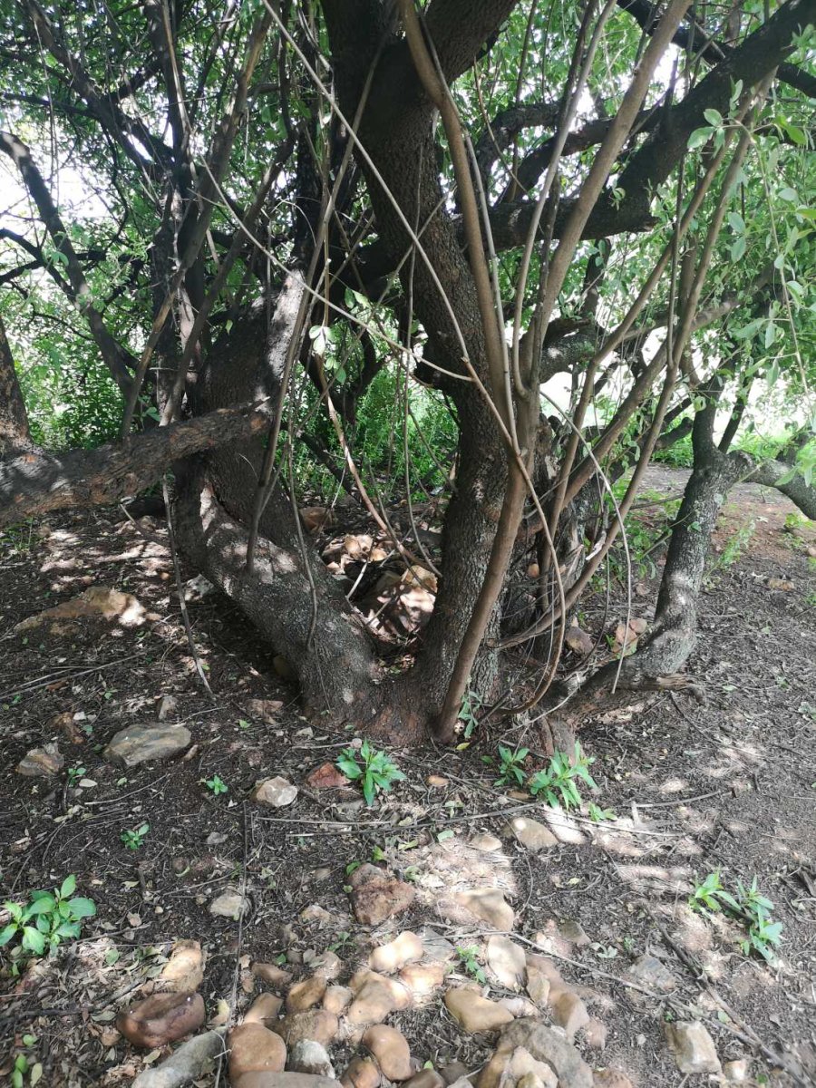 ?