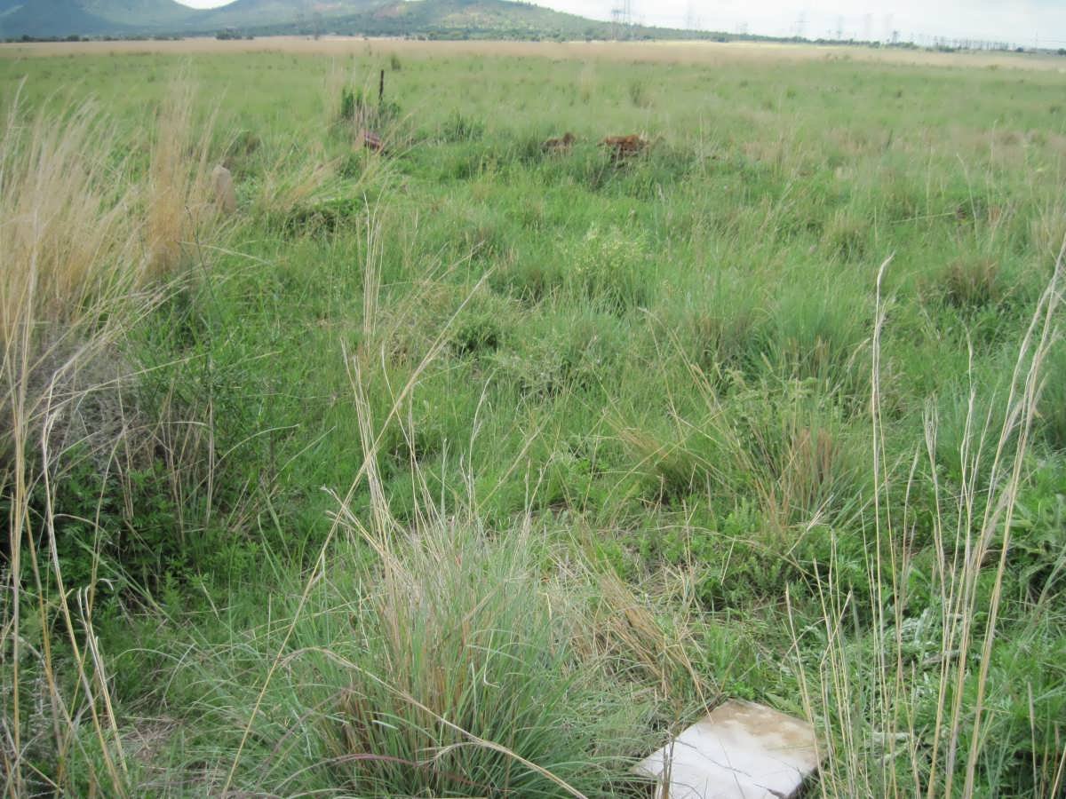 7. Overview on graves