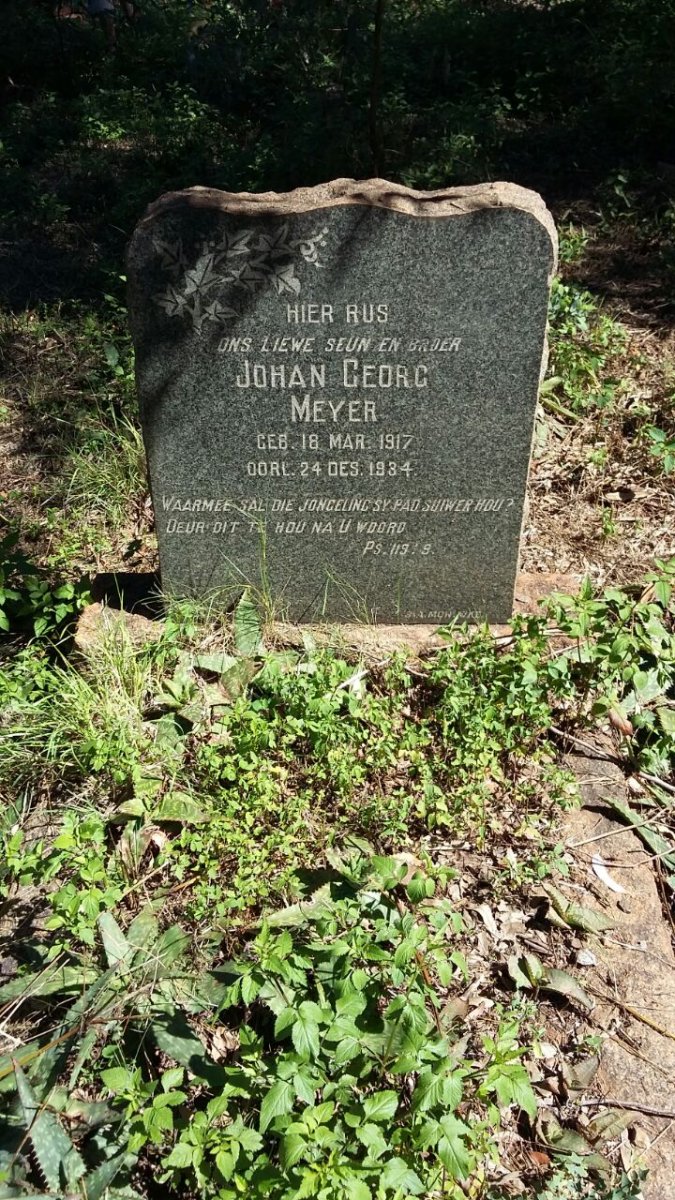 MEYER Johan Georg 1917-1934