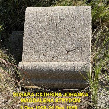 STRYDOM Susara Cathrina Johanna Magdalena 1958-1958