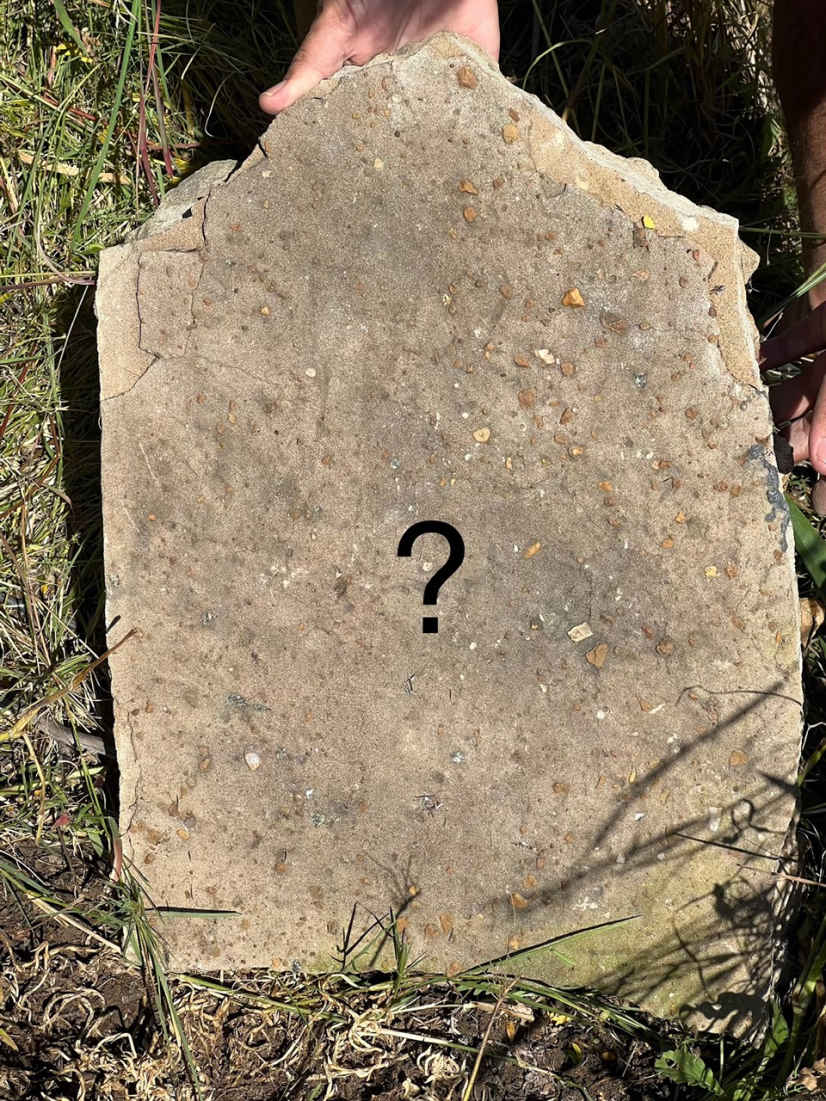 ?