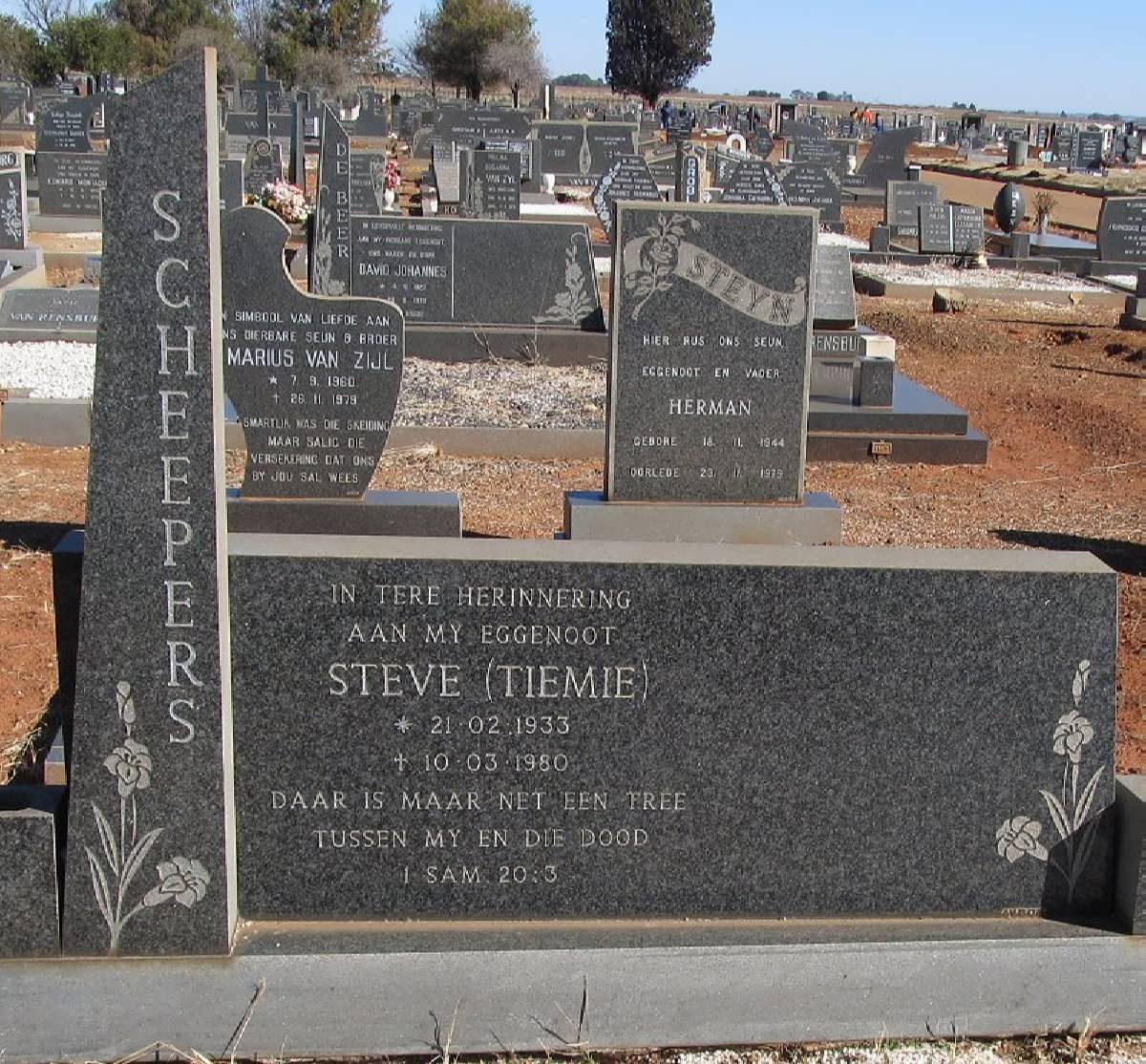 SCHEEPERS Steve 1933-1980
